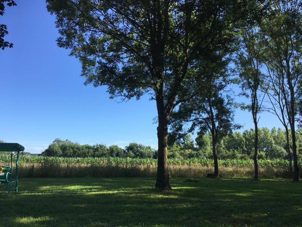 Bed and Breakfast La Veillonnais Angrie Esterno foto